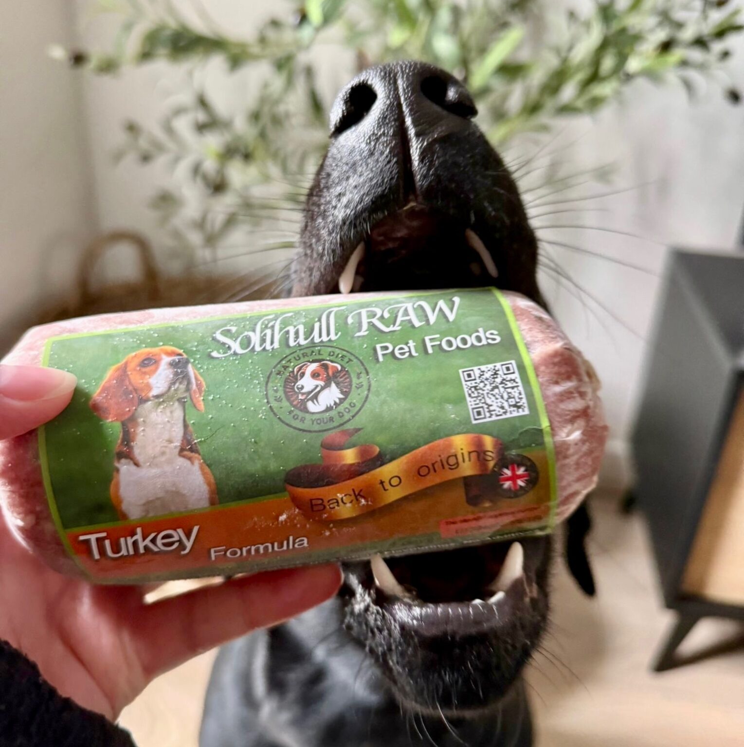Raw Pet Food In Uk Sold In Stores